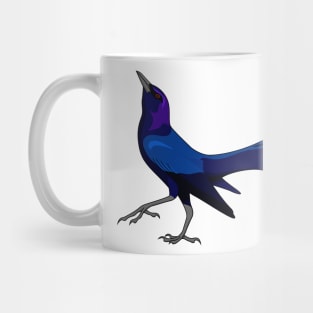 Boat-tailed Grackle - UPDATED! Mug